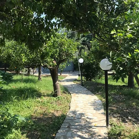 Arancetodamare_poseidone